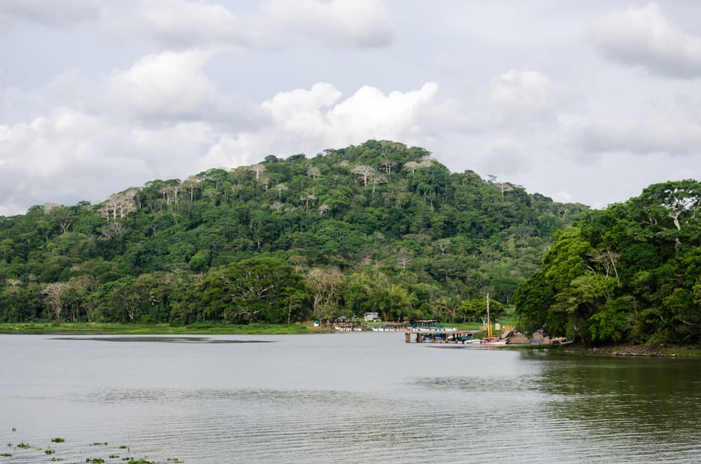 Gamboa Rainforest (Soberanía)