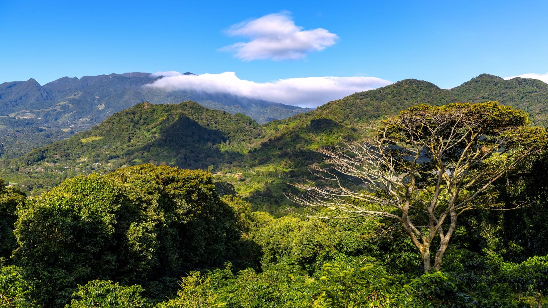 Chiriquí and Boquete